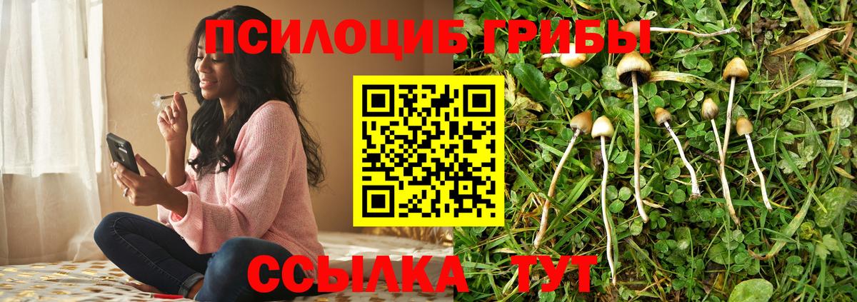 Псилоцибиновые грибы мухоморы Зерноград