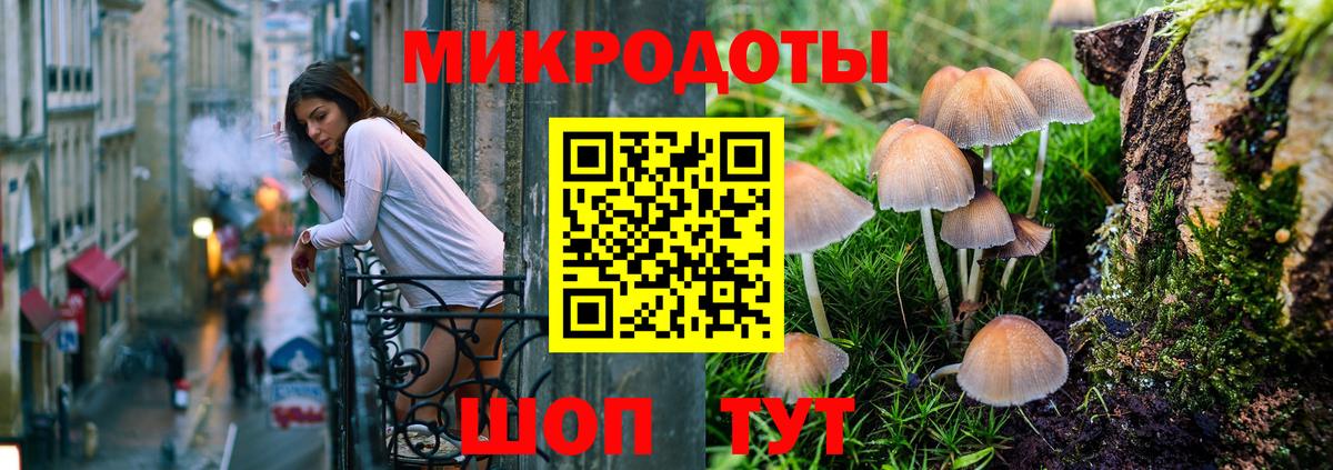 Зерноград  Галлюциногенные грибы Cubensis  Вход с VPN  Галлюциногенные грибы мицелий 